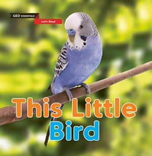 Let's Read - This Little Bird