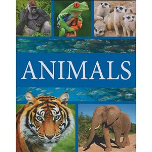 Animals