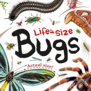 Life-size Boards: Bugs