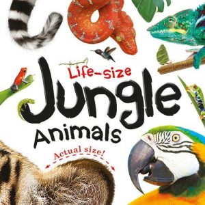 Life-size Boards: Jungle Animals