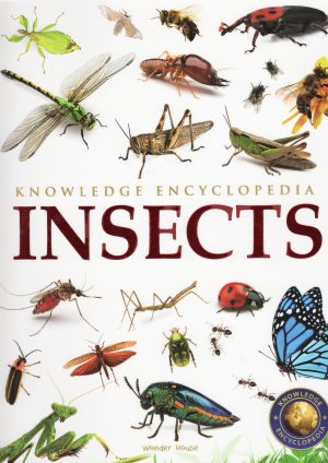 Animals: Insects (Knowledge encyclopedia)