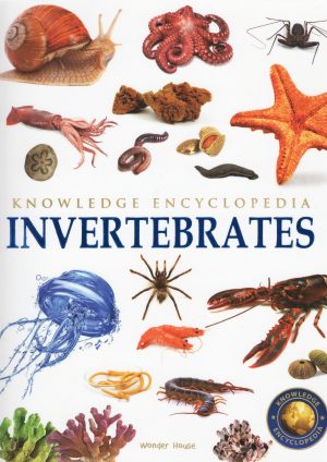 Animals: Invertebrates (Knowledge encyclopedia)