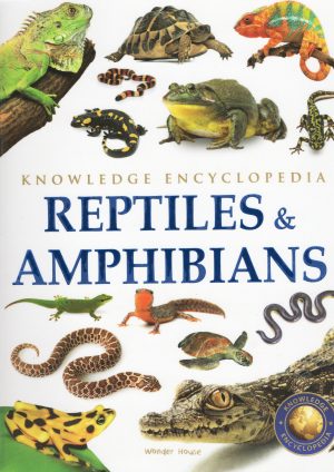Animals: Reptiles & Amphibians (Knowledge encyclopedia)