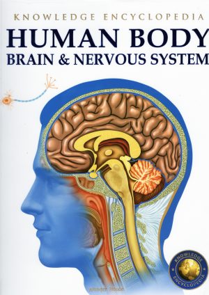 Human Body: Brain & Nervous System (Knowledge encyclopedia)