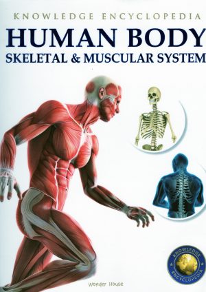 Human Body: Skeletal & Muscular System (Knowledge encyclopedia)
