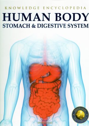 Human Body: Stomach & Digestive System (Knowledge encyclopedia)