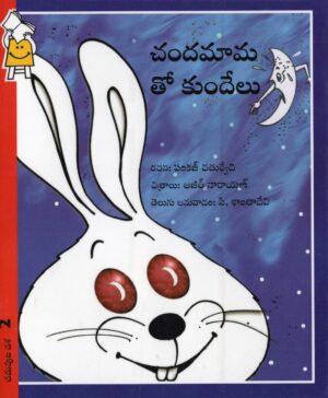 The Moon And The Rabbit