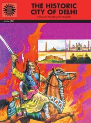 The Historic City Of Delhi